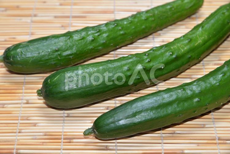 【きゅうり】　新鮮野菜　素材 きゅうり,キュウリ,胡瓜の写真素材