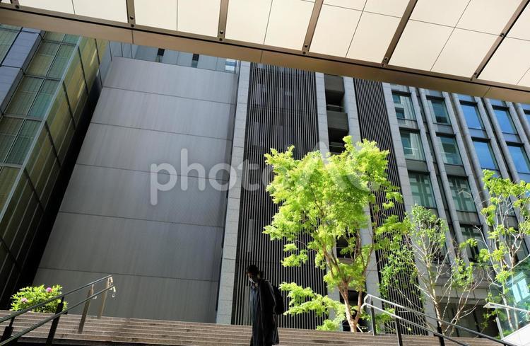ビルの谷間に立つ新緑のイロハモミジと女性のシルエット 新緑,女性,シルエットの写真素材