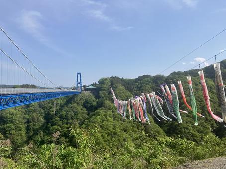 こいのぼり こいのぼり こいのぼり祭り,竜神大橋,竜神吊り橋の写真素材