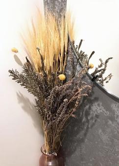 ドライフラワー ドライフラワーの写真