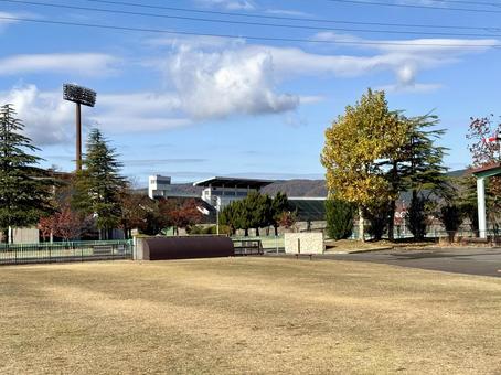 福井少年運動公園　秋の景色 福井少年運動公園,グラウンド,芝生の写真素材