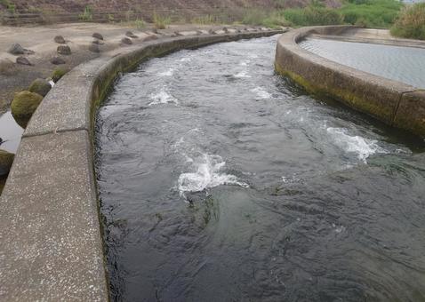 River channel, JPG