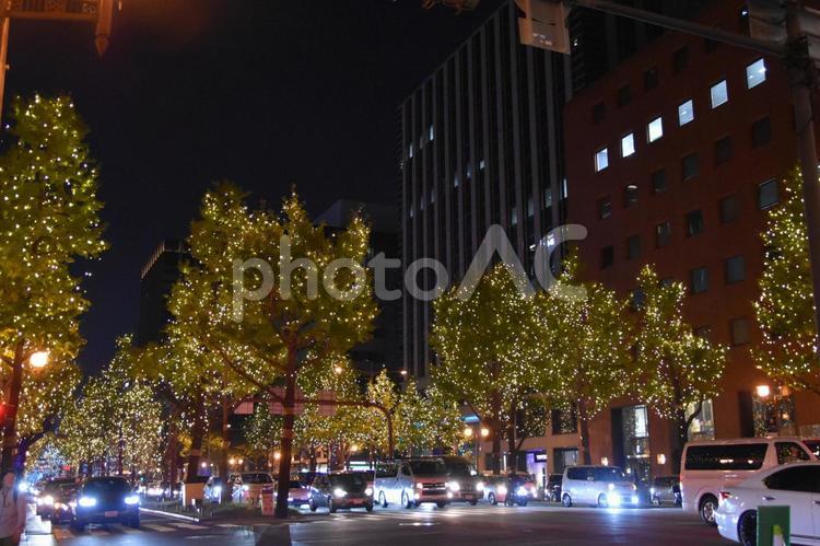 2023御堂筋イルミネーション 御堂筋,イルミネーション,夜景の写真素材