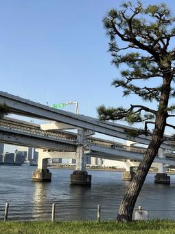 2025年春　昼間の東京お台場の風景 都心,さわやか,りんかい線の写真素材