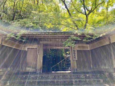 瑠璃光院の入口 瑠璃光院の入口 京都,瑠璃光院,八瀬の写真素材