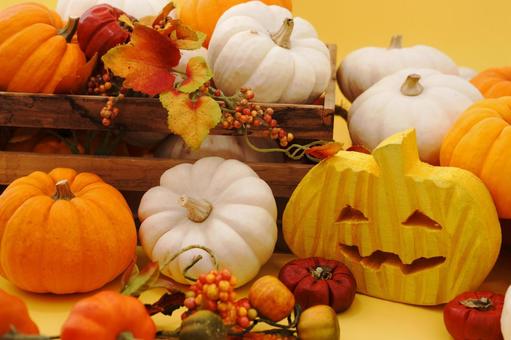 ハロウィンのイメージ ハロウィン,秋,カボチャの写真素材