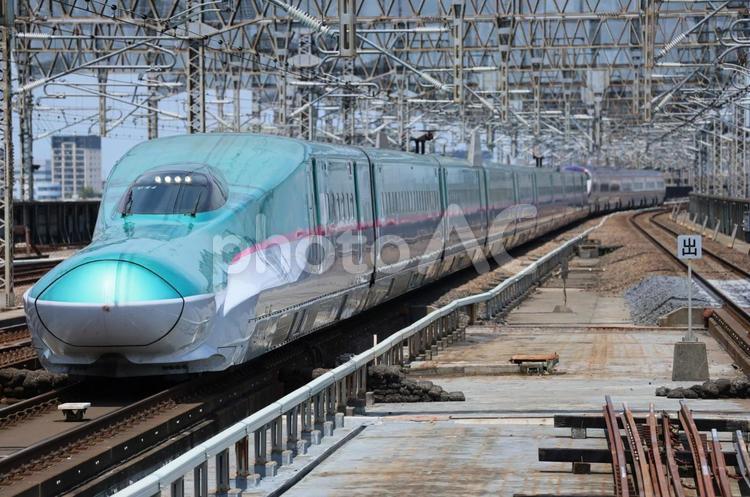 走るはやぶさ 新幹線,はやぶさ,鉄道の写真素材