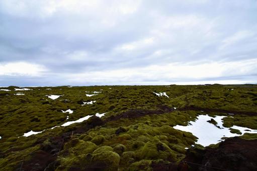 アイスランドの深い緑の苔の原野に続く小道 アイスランドの深い緑の苔の原野に続く小道の写真