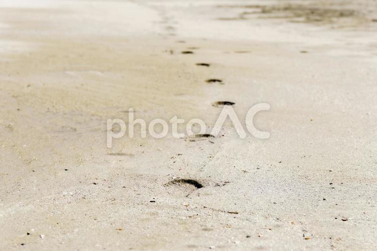 砂浜に残された足跡 砂浜,足跡,砂の写真素材