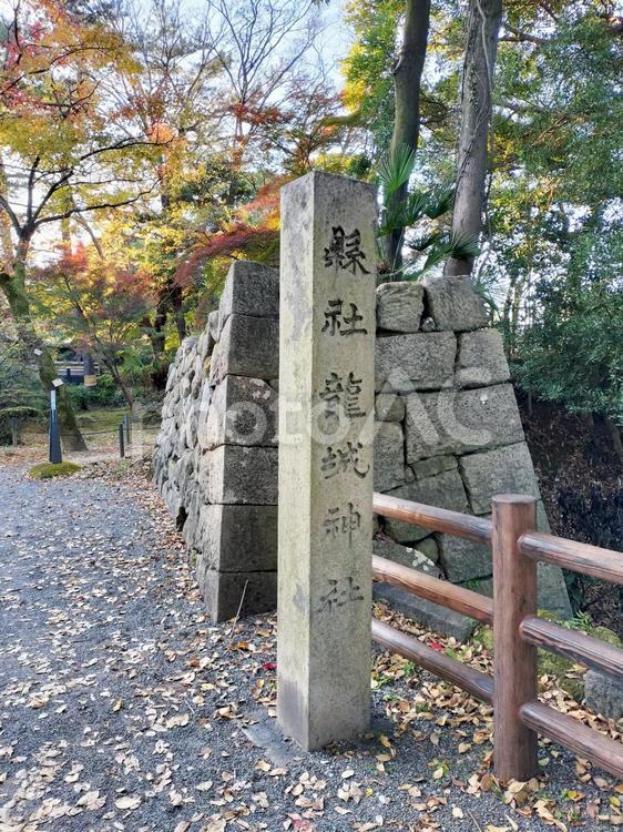 岡崎城公園　縁社龍城神社の石碑 縁社龍城神社,石碑,石柱の写真素材