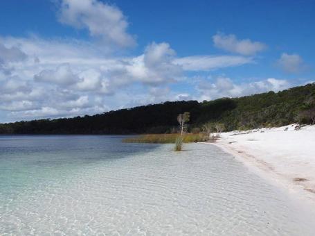 ビラビーン湖 オーストラリア,ヌーサ,フレーザー島の写真素材