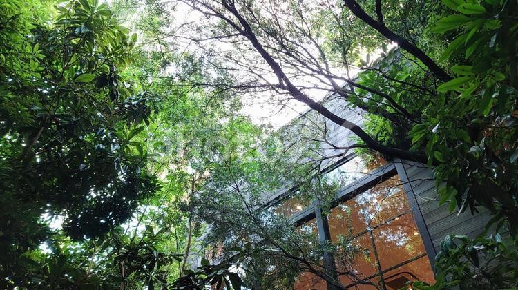 森の中の建物 森,木,木々の写真素材