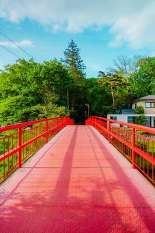 【長野】軽井沢の長倉神社 パワースポット 【長野】軽井沢の長倉神社 パワースポット 長倉神社,軽井沢,駅の写真素材