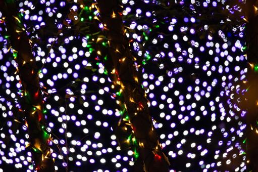 クリスマスのイルミネーション クリスマス,イルミネーション,ライトアップの写真素材