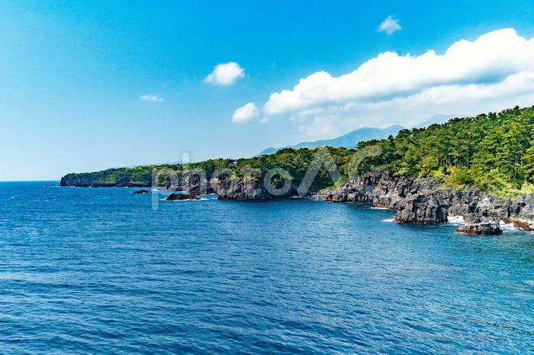 城ケ崎海岸の吊り橋（門脇灯台）10 城ケ崎海岸,吊り橋,つり橋の写真素材