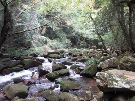 岡山県-豪渓-渓流 岡山県-豪渓-渓流の写真