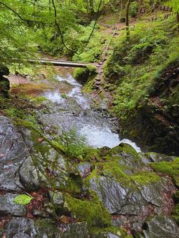 川と橋 自然,緑,川の写真素材