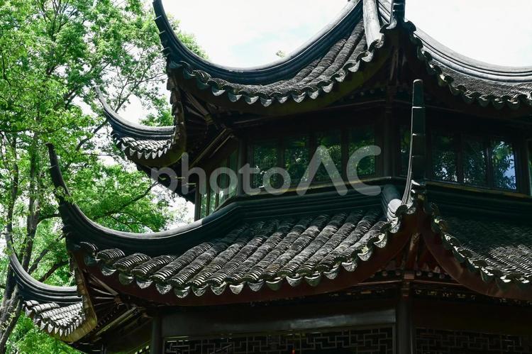 蘇州・拙政園 蘇州,拙政園,世界遺産の写真素材