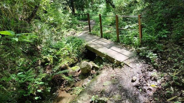 登山道の終わり 登山道の終わり 登山道,下山,登山終わりの写真素材