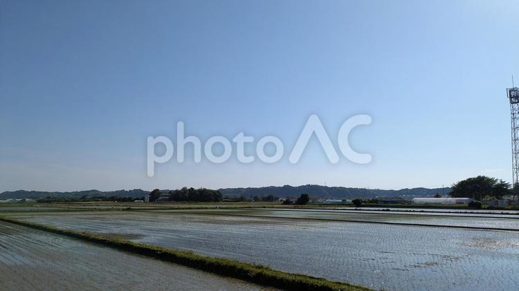 千葉県・外房の田園風景 田園風景,田んぼ,田植えの写真素材