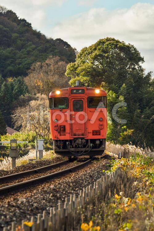 ディーゼル機関車　JR　レール　鉄道 ディーゼル機関車,汽車,車両の写真素材