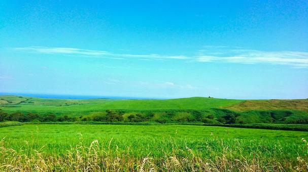 夏空に広がる緑豊かな草原と丘陵風景 夏空に広がる緑豊かな草原と丘陵風景の写真