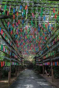 Kaeru Temple Kaeru Temple