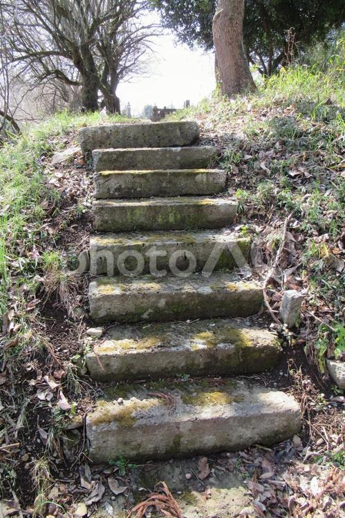 郊外の田畑をつなぐ数段の古い石段 石段,階段,上り下りの写真素材
