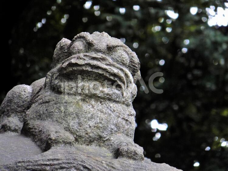 靖国神社５ お参り,九段坂,参道の写真素材