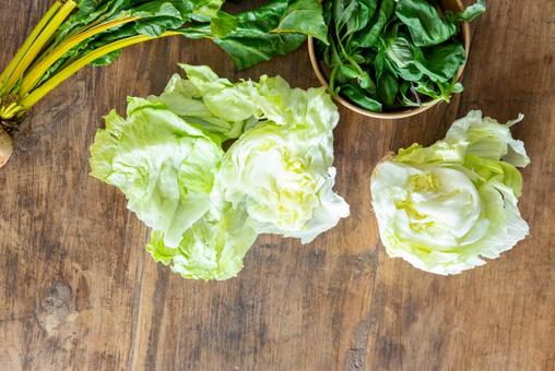 レタスなどの緑色の野菜 レタスなどの緑色の野菜の写真