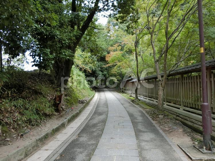 京の風景 京都,参道,神社の写真素材