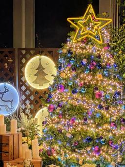 クリスマスイルミネーション クリスマス,イルミネーション,クリスマスツリーの写真素材