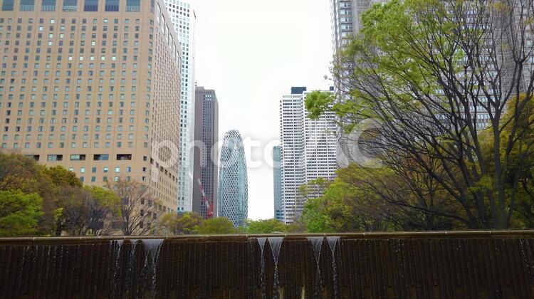 新宿中央公園から見た高層ビル２ 背景,東京,新宿の写真素材