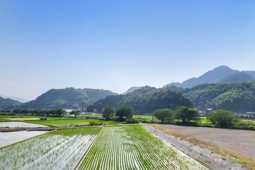 伊豆中央道から見る伊豆の国市南江間の水田 伊豆中央道から見る伊豆の国市南江間の水田 水田,田圃,田園風景の写真素材
