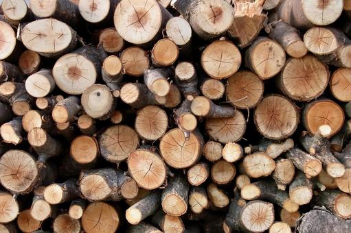 薪木 木,薪,年輪の写真素材
