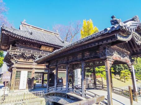 【栃木県】足利市・鑁阿寺 鑁阿寺,足利市,寺社仏閣の写真素材