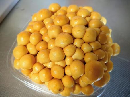 なめこ なめこ,きのこ,食材の写真素材