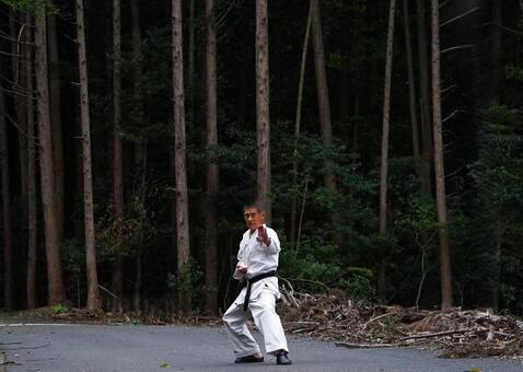 空手（木立①） 空手,構え,形の写真素材