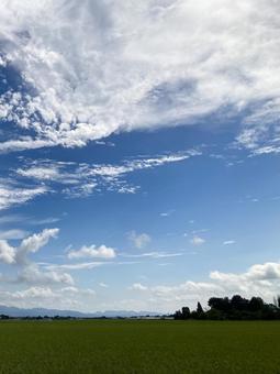 空と雲と田んぼ(縦) 空と雲と田んぼ(縦) 空,雲,山の写真素材