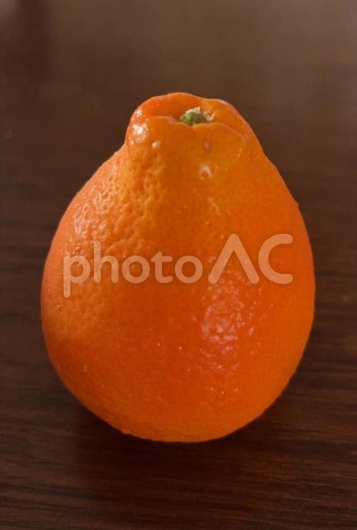 R7.6.5　皮が剥けるオレンジミネオラ 皮が剥ける,オレンジ,ミネオラの写真素材