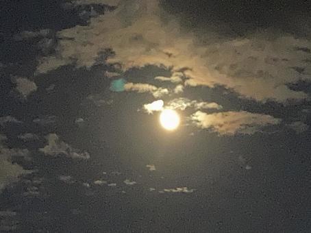 夕方の月 夕方の月 空,月,雲の写真素材