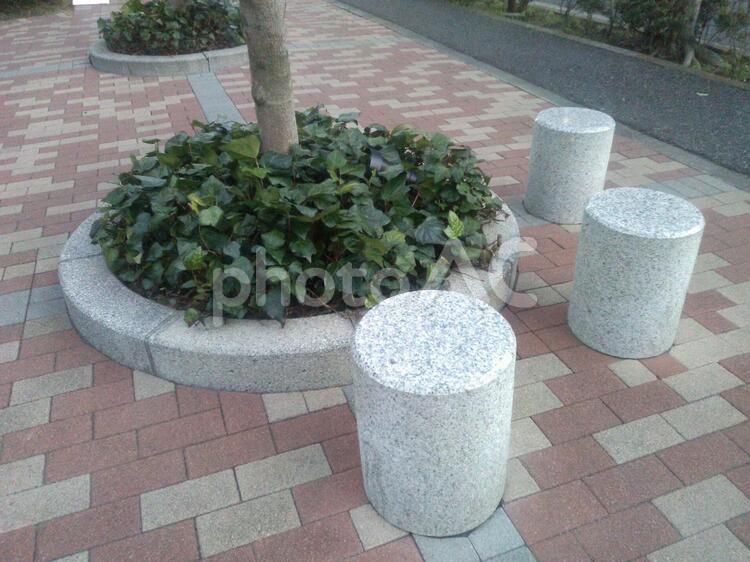 歩道と丸いすと植え込み　アイビー 歩道,石,アイビーの写真素材