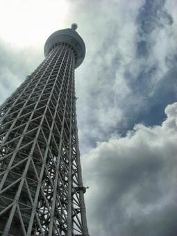 曇り日の東京スカイツリー-50 東京スカイツリー,曇り日,雲の写真素材