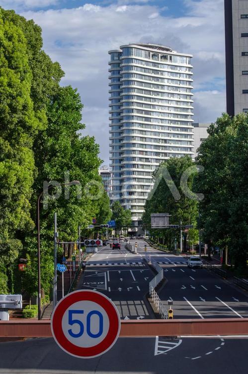 東京港区南青山2丁目の道路標識と道路 道路標識,道路,都会の写真素材