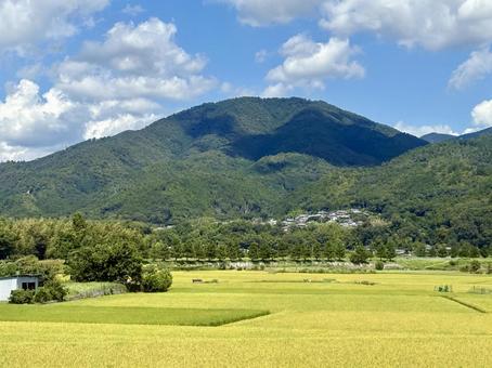 秋の亀岡 秋,亀岡,田んぼの写真素材