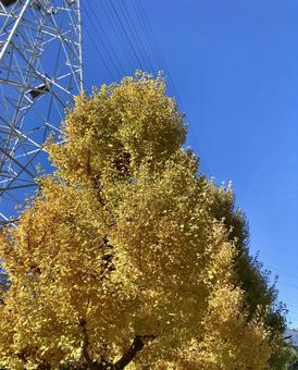 紅葉と鉄塔 紅葉と鉄塔の写真