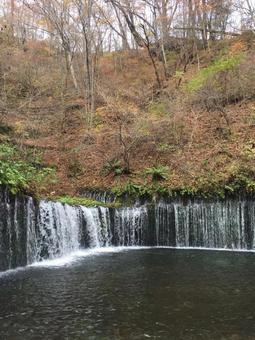 白糸の滝より 白糸の滝より 白糸の滝,長野県,軽井沢の写真素材