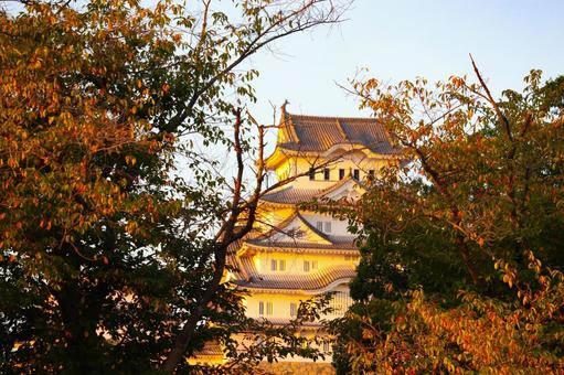 草木に隠れる姫路城 草木に隠れる姫路城 姫路城,姫路市,兵庫県姫路市の写真素材