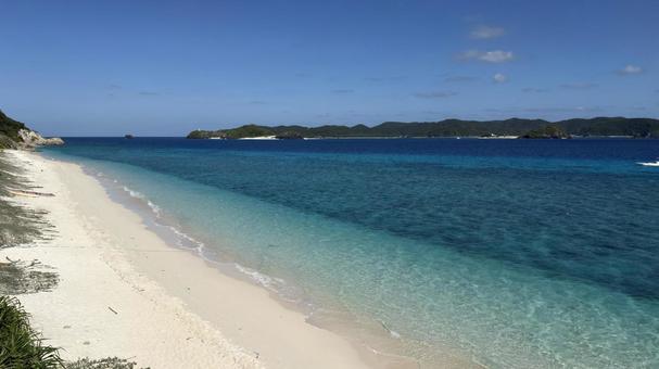 沖縄　慶良間諸島　阿嘉島 沖縄,慶良間諸島,阿嘉島の写真素材