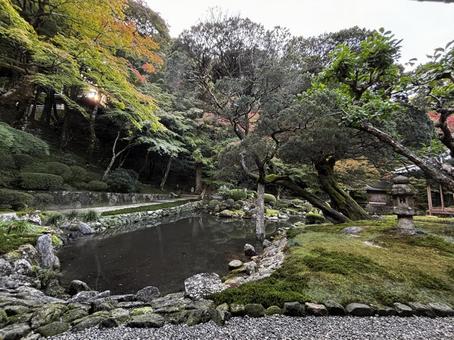 庭園 庭園,自然,ナチュラルの写真素材